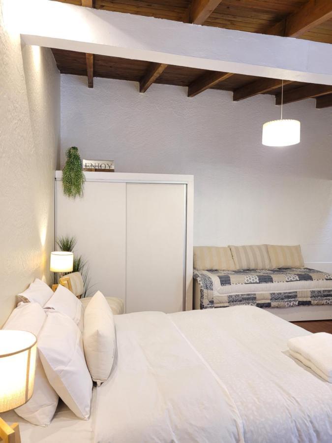 "Casa Amalia Apartamentos" Plaza Italia Y Av Aristides A 50Mts, Lugar Con Jardin Мендоса Екстер'єр фото
